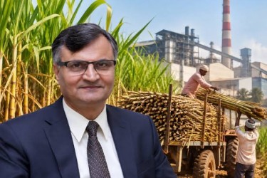 Government sets up panel to examine sugarcane farmers’ demands and sugar pricing